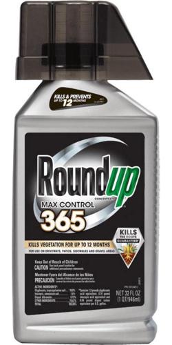 Roundup Concentrate Max Control 365, 32 oz., Visible Results in 12 Hours