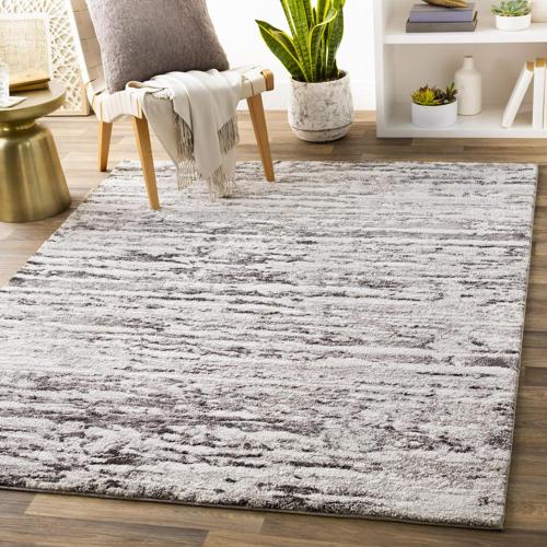 Lionel Medium Gray Area Rug, 5'3*7'3