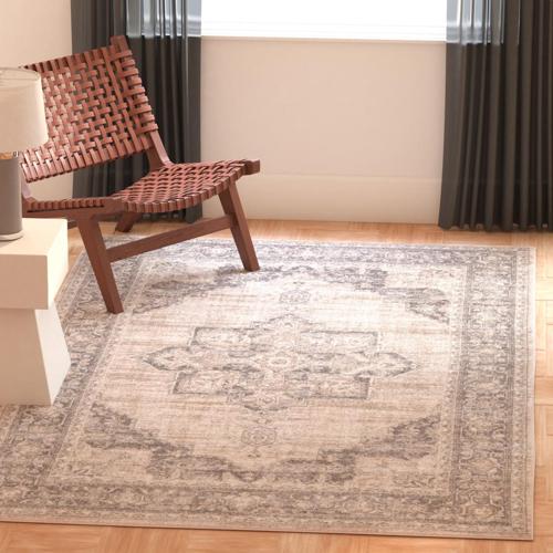 SAFAVIEH Brentwood Collection BNT865B Cream / Grey Rug