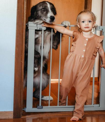 Safety 1Ecau Simple Pass Walk-Through Gate, Grey