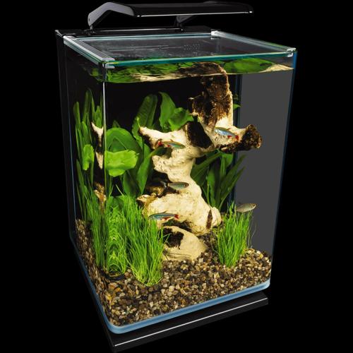 Marineland Portrait Glass LED Aquarium Kit, 5 Gallons, Hidden Filtration