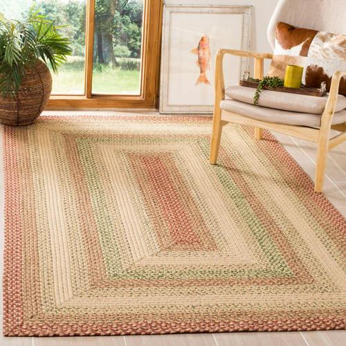 SAFAVIEH Braided Matthew Bordered Area Rug, Rust/Multi, 2'*3'