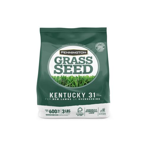 Pennington Kentucky 31 Tall Fescue Grass Seed, for Sun to Partial Shade, 3 lb.