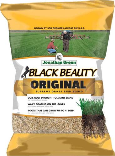 Jonathan Green (#10317) Black Beauty Original Grass Seed, 15lb bag